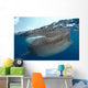 Whale Shark Rhincodon Typus Wall Decal