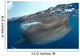 Whale Shark Rhincodon Typus Wall Decal