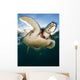 Green Sea Turtle Chelonia Wall Decal Design 4