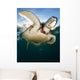 Green Sea Turtle Chelonia Wall Decal Design 4
