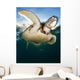Green Sea Turtle Chelonia Wall Decal Design 4