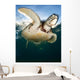 Green Sea Turtle Chelonia Wall Decal Design 4