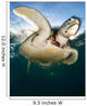 Green Sea Turtle Chelonia Wall Decal Design 4