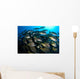 School Burito Grunt Fish Wall Decal Design 4