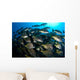 School Burito Grunt Fish Wall Decal Design 4