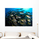 School Burito Grunt Fish Wall Decal Design 4
