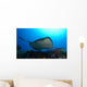 Southern Stingray Swimming Offshore Wall Decal