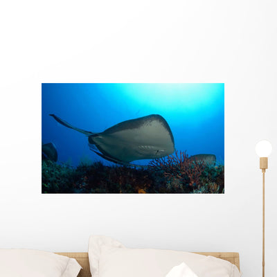 Southern Stingray Swimming Offshore Wall Decal shown on a wall