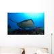 Southern Stingray Swimming Offshore Wall Decal