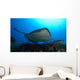 Southern Stingray Swimming Offshore Wall Decal