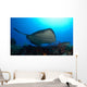 Southern Stingray Swimming Offshore Wall Decal