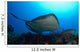 Southern Stingray Swimming Offshore Wall Decal