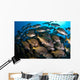 School Burito Grunt Fish Wall Decal Design 3