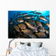 School Burito Grunt Fish Wall Decal Design 3