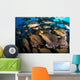 School Burito Grunt Fish Wall Decal Design 2