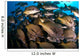 School Burito Grunt Fish Wall Decal Design 2
