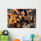 Sponges Tunicates Crinoids Acidians Wall Decal