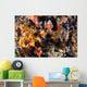 Sponges Tunicates Crinoids Acidians Wall Decal