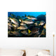 School Burito Grunt Fish Wall Decal Design 1