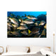 School Burito Grunt Fish Wall Decal Design 1