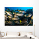 School Burito Grunt Fish Wall Decal Design 1