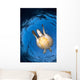 Green Sea Turtle Chelonia Wall Decal Design 3