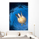 Green Sea Turtle Chelonia Wall Decal Design 3
