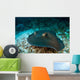 Southern Stingray Dasyatis Americana Wall Decal Design 1