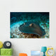 Southern Stingray Dasyatis Americana Wall Decal Design 1