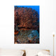 Gorgonian and Giant Caribbean Wall Decal