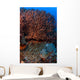 Gorgonian and Giant Caribbean Wall Decal