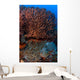 Gorgonian and Giant Caribbean Wall Decal