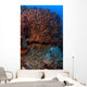 Gorgonian and Giant Caribbean Wall Decal
