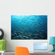 Large School Mexican Barracuda Wall Decal