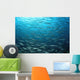 Large School Mexican Barracuda Wall Decal