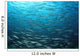 Large School Mexican Barracuda Wall Decal