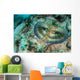 Flying Gurnard Swimming along Wall Decal Design 1