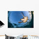 Green Sea Turtle Chelonia Wall Decal Design 2