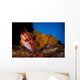 Mexican Hogfish Bodianus Diplotaenia Wall Decal Design 4