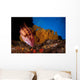 Mexican Hogfish Bodianus Diplotaenia Wall Decal Design 4