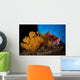 Mexican Hogfish Bodianus Diplotaenia Wall Decal Design 3