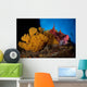 Mexican Hogfish Bodianus Diplotaenia Wall Decal Design 3