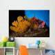 Mexican Hogfish Bodianus Diplotaenia Wall Decal Design 3