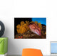 Mexican Hogfish Bodianus Diplotaenia Wall Decal Design 2