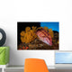 Mexican Hogfish Bodianus Diplotaenia Wall Decal Design 2
