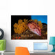 Mexican Hogfish Bodianus Diplotaenia Wall Decal Design 2