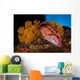 Mexican Hogfish Bodianus Diplotaenia Wall Decal Design 2