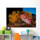 Mexican Hogfish Bodianus Diplotaenia Wall Decal Design 2