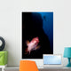 Mexican Hogfish Bodianus Diplotaenia Wall Decal Design 1