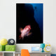 Mexican Hogfish Bodianus Diplotaenia Wall Decal Design 1